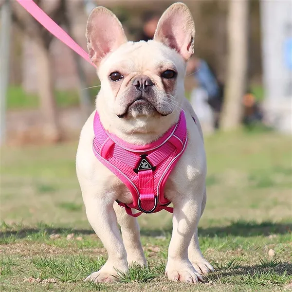 Picture of Pet Adjustable Reflective Vest RC Pets Harnesses Big Size Dog Seat Belt Pet Harnesses Kibtoy