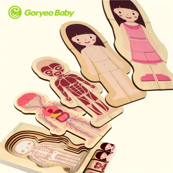 Picture of Goryeobaby Body Structure Puzzle Toy Wooden Boy Girl Montessori Educational Toys
