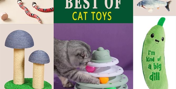 The 15 Best Cat Toys of 2023