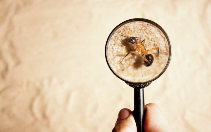 how to use magnifier how to use magnifier