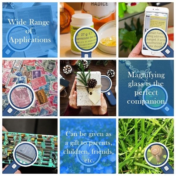 where magnifying glass where magnifying glass