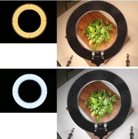 use ring light for food photography
