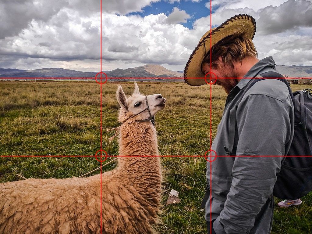 photo composition photo composition