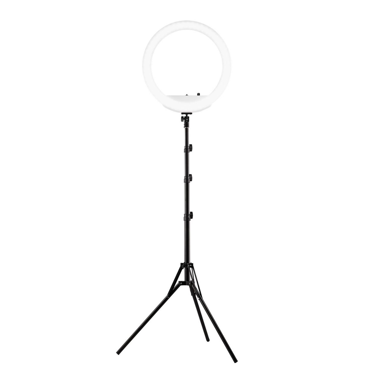 wescott 18 inch ring light