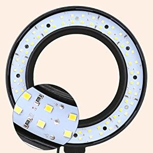 6 Inch Selfie Ring Light with Tripod Stand & Phone Holder & Selfie Stick for Live Stream/Photography/Makeup